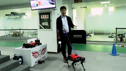 AlphaDog, el perro del futuro