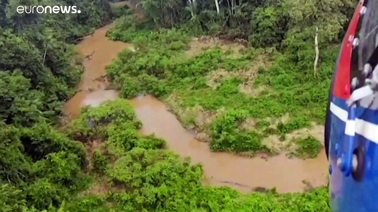 Pilot überlebt über einen Monat im Amazonas-Regenwald