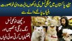 Meet Pakistani Who Own Beautiful Imported Cats in Pakistan - Watch Rear Breed of Cats & Their Prices