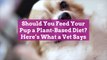 BHG Updated Templated Should You Feed Your Pup a Plant-Based Diet? Here’s What a Vet Says