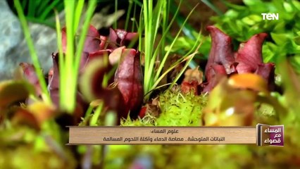 النباتات المتوحشة.. مصاصة الدماء وأكلة اللحوم المسالمة