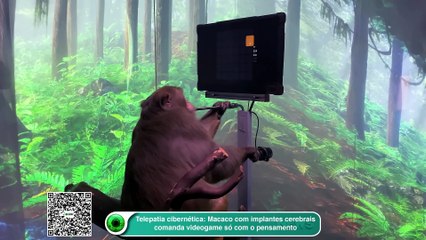 Telepatia cibernética- Macaco com implantes cerebrais comanda videogame só com o pensamento