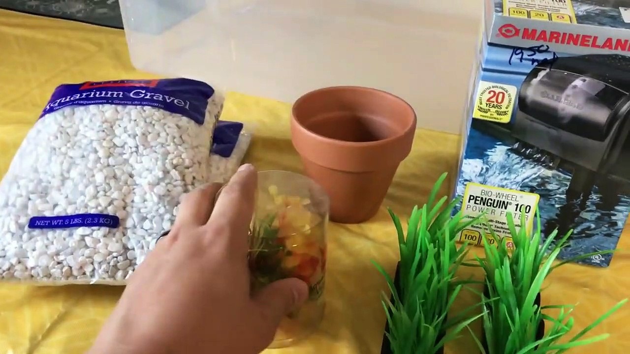 Homemade Aquarium! Diy Plastic Bin Fish Tank Setup video Dailymotion