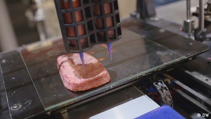 Meat substitute - Vegan steak from a 3D printer