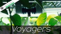 Colin Farrell and Lily-Rose Depp on Exploring the Nature of Humans in New Movie Voyagers