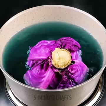 29 SCIENCE TRICKS that look like real MAGIC