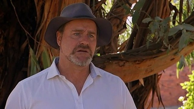 Leaked audit reveals critical problems at Australia's largest dairy farm