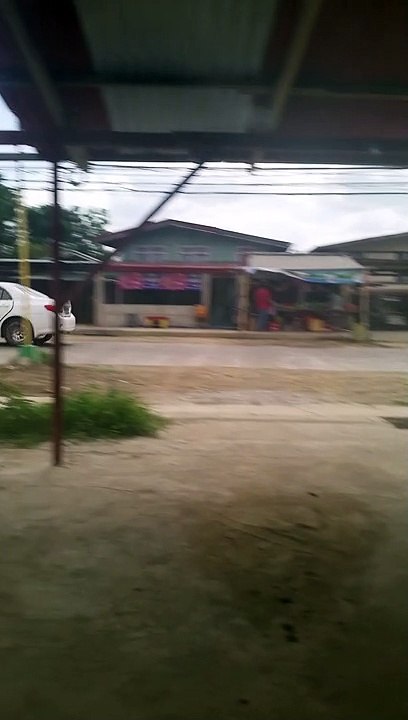 My Neighborhood