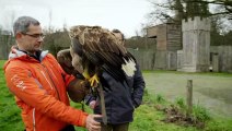 Ingenious Animals S01E04 Bodies (22 September 2016)
