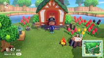 Animal Crossing New Horizons - Bamboo Island Foraging!