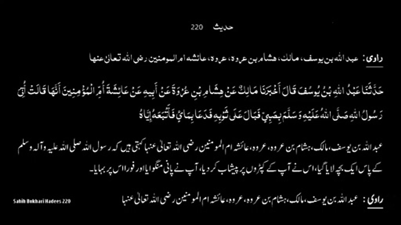 Watch *Hadith 220 Sahih Bukhari*