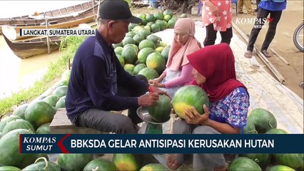 BBKSDA Sumatera Utara Gelar Antisipasi Kerusakan Hutan
