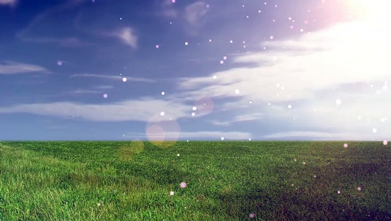 Beautiful Relaxing Music for Stress Relief, Calm Music, Deep Sleep, Meditation Music I WoW Creations