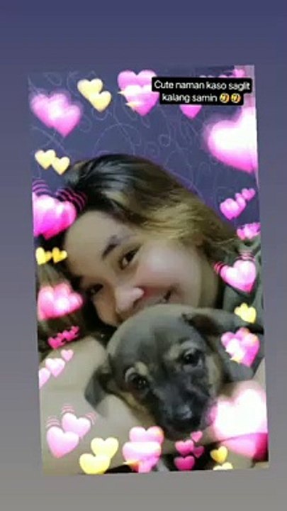 Super cute ni puppy