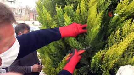 Sındırgı yeşil alanlarını büyütmeye devam ediyor