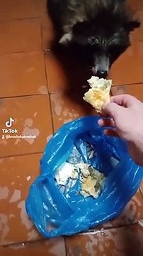 Кружочек и молоко.