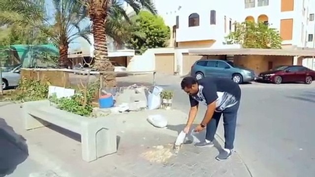 300 دينار عقوبة رمي بقايا الأطعمة للطيور والحيوانات على الأرصفة والأراضي الفضاء