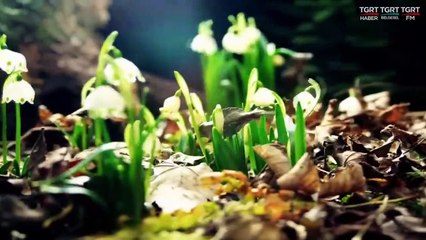 HUZURA DOGRU 20210410