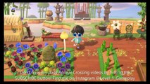 A Bamboo And Japanese Zen Themed Island! Let'S Visit Rivercane! Animal Crossing New Horizons