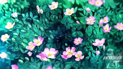 | Amv | Life - Anime Mix | Enterprise Amv