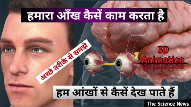 हमारा आंख कैसे काम करता है | How does the eye work | eye anatomy | @THE SCIENCE NEWS - हिन्दी