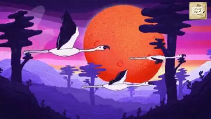 تميم البرغوثي : ليس لها حل سوى الضحك