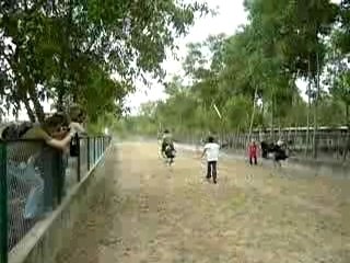 Autruchage d'autruche encore une fois