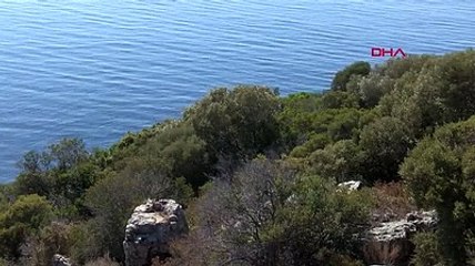 Tavşan Adası koruma alanı ilan edildi