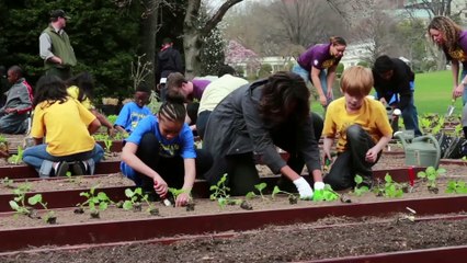 Michelle Obama Forward Motion Trailer (2019)