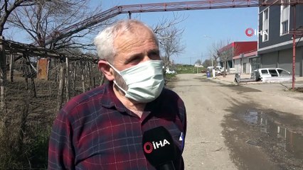 Tavukları İçin Üst Geçit Yaptı