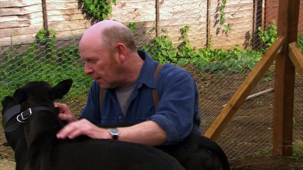 Thugs Mugs & Dogs Trailer