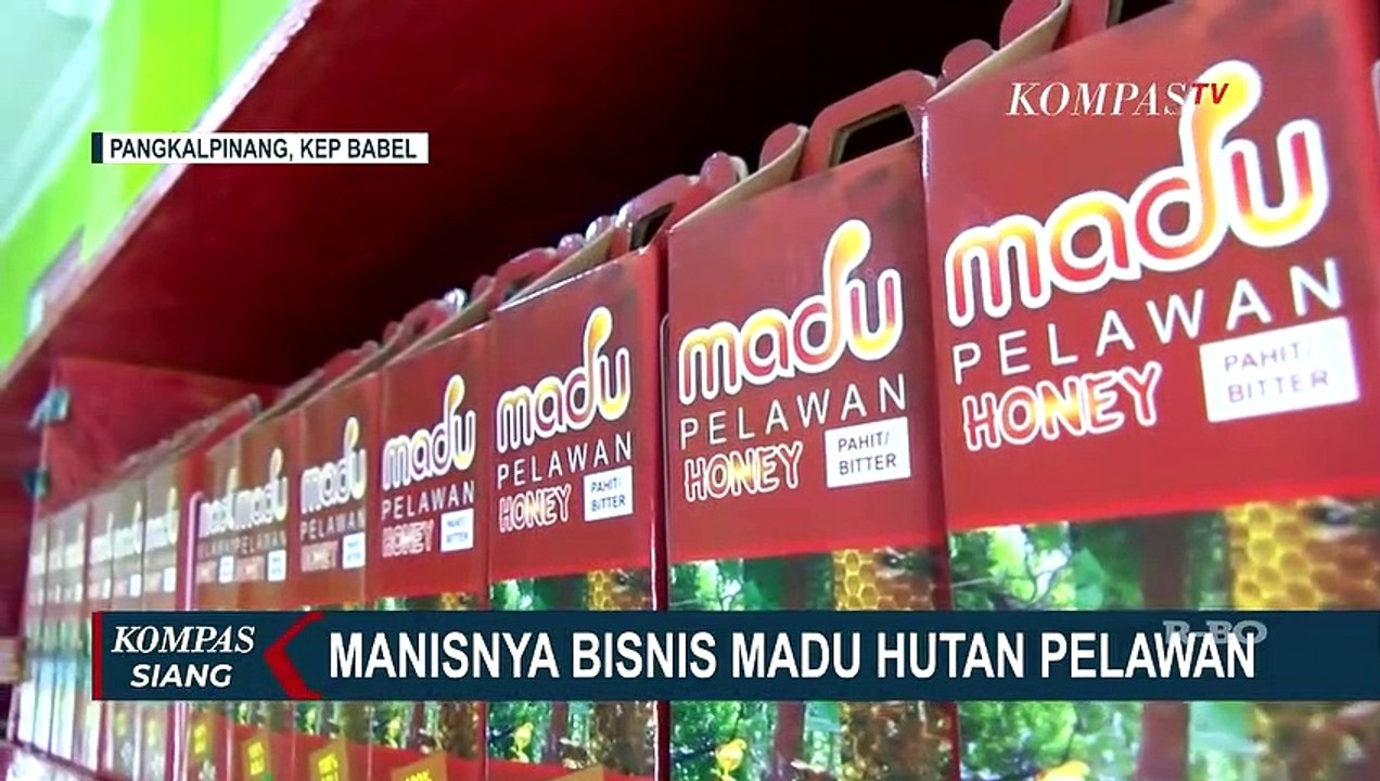 Budidaya Madu Pelawan dan Madu Kelulut di Bangka Belitung yang Berhasil Masuk Pasar Singapura
