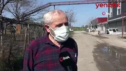 Türkiye'de bir ilk! Tavuklara üst geçit