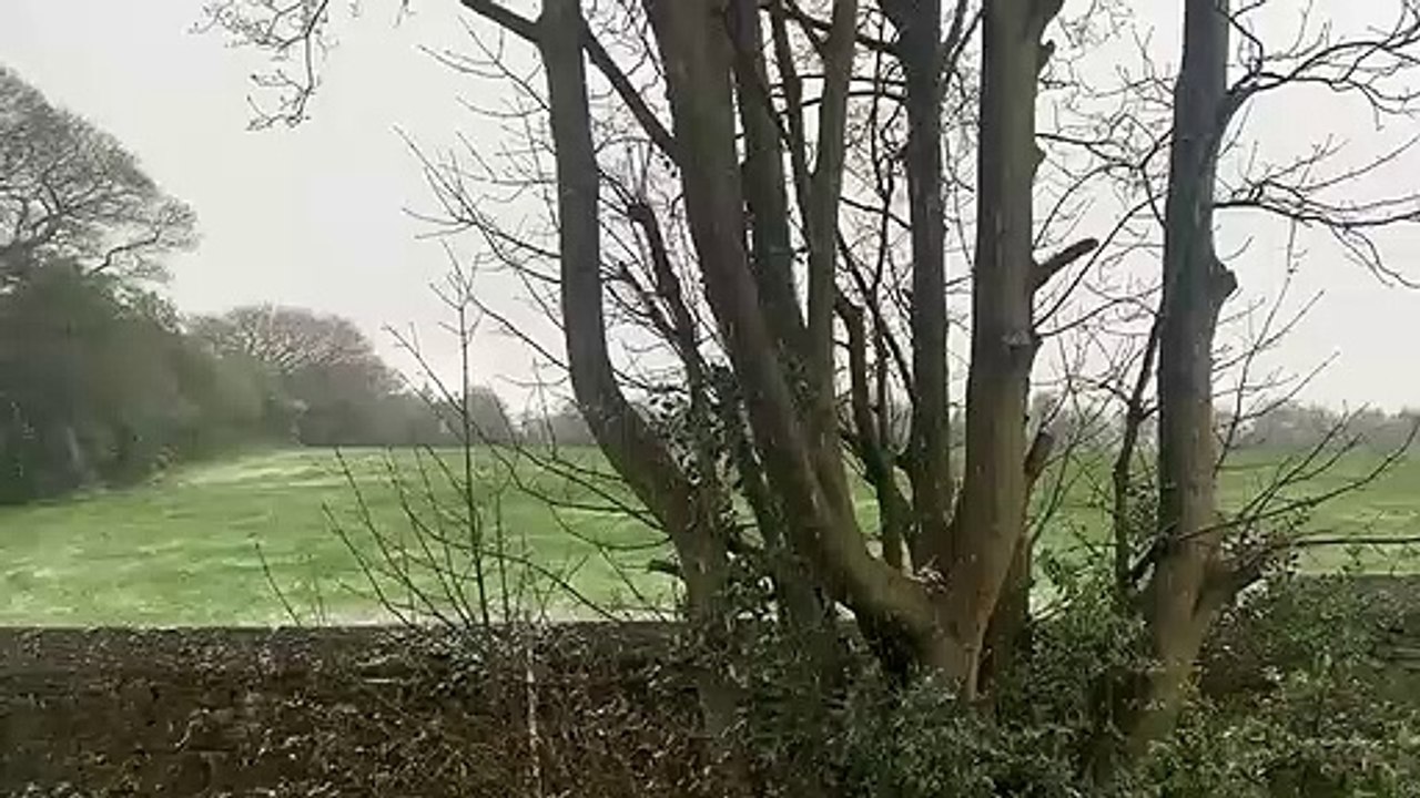 Snow shower in Calverley