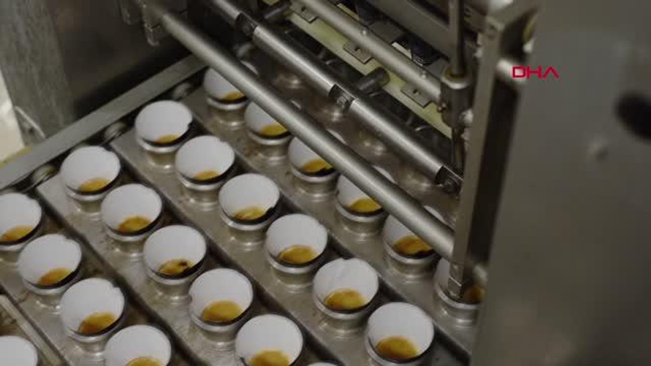 KAHRAMANMARAŞ-Yerli dondurma üreticisine 'Maraş dondurması coğrafi işareti'