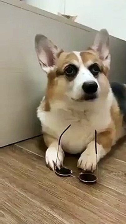 Best videos, Top videos, Viral videos Funny videos no. 73