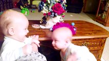Cute Twins Babies Fighting -  Funny Babies Videos