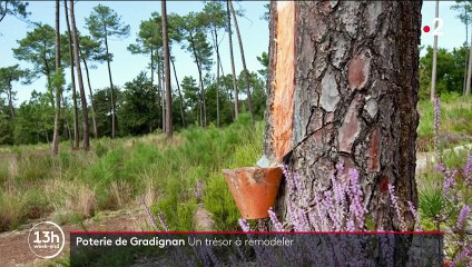 Loto du patrimoine : la poterie de Gradignan, vestige de l'ère industrielle, bientôt remise en état