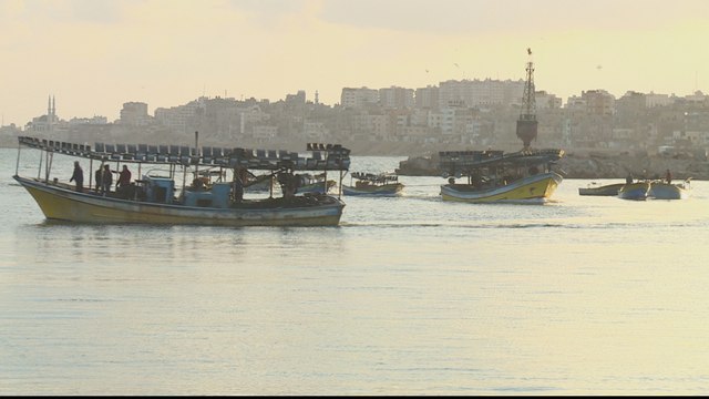 Farmers, fishers in Gaza struggle under COVID-19 restrictions