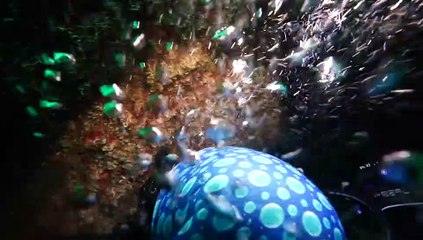 Resmi gazetede yayımlandı; Tavşan Adası, "kesin korunacak hassas alan" ilan edildi