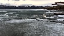 Son dakika haberleri: Çıldır Gölü'nü kaplayan buz, bahar mevsimiyle erimeye başladı