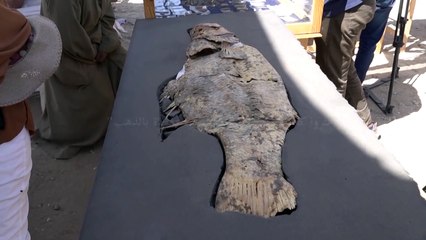 الكشف في الأقصر عن مدينة حرفيين عمرها ثلاثة الاف عام