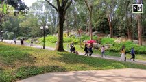 Sunday morning walk in the park in Shenzhen