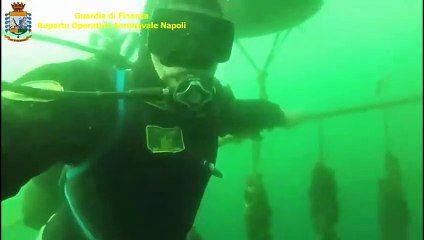 Napoli - Vivai abusivi nel Golfo, sequestrate 100 tonnellate di mitili (10.04.21)
