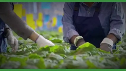 HOW TO BE SUCCESSFUL IN LIFE? THE BEST INSPIRATIONAL VIDEOS:01