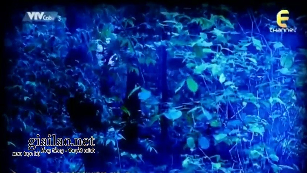 Đội Đặc Nhiệm CID Tập 780 - THVL3 Lồng Tiếng tap 781 - xem phim doi dac nhiem cid tap 780