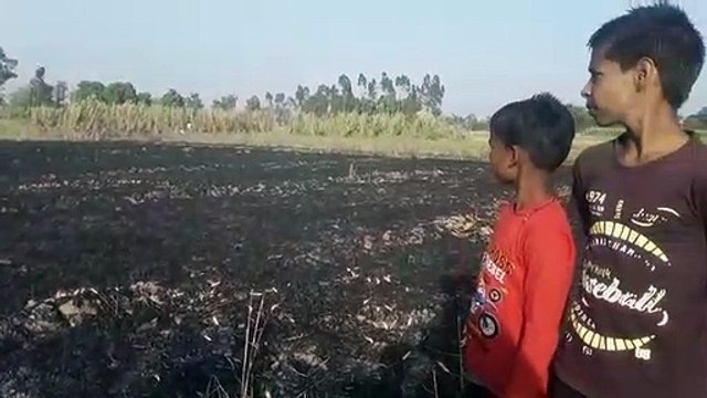 हाईटेंनशन तार से निकली चिंगारी से गेहूँ की तैयार फसल जलाकर राख
