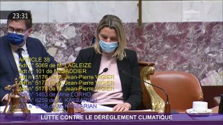 Intervention concernant le gel qui a touché l'arboriculture et la viticulture puis sur le secteur aérien