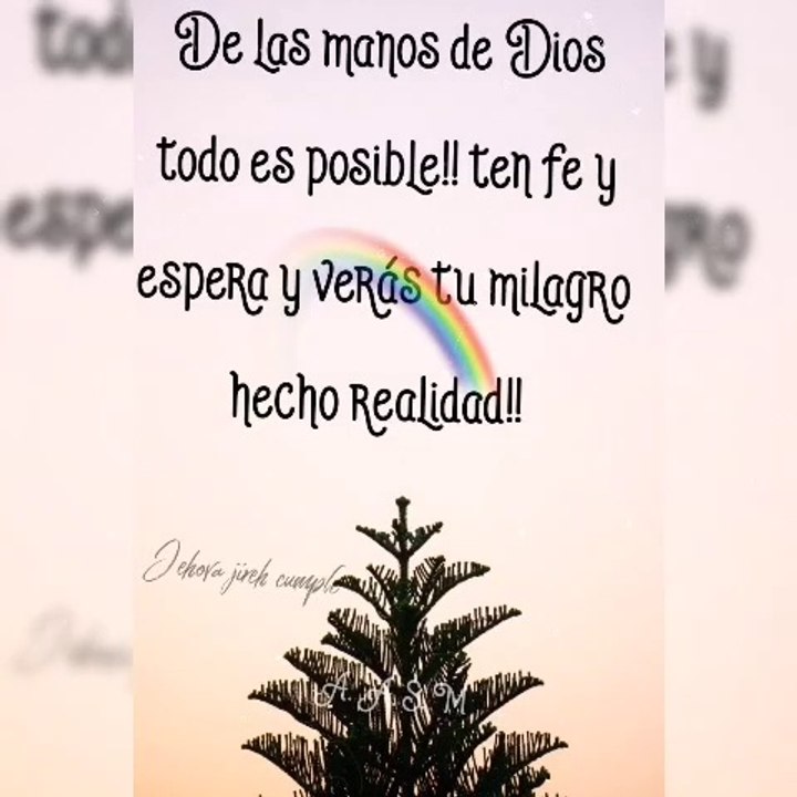 Feliz Sábado 