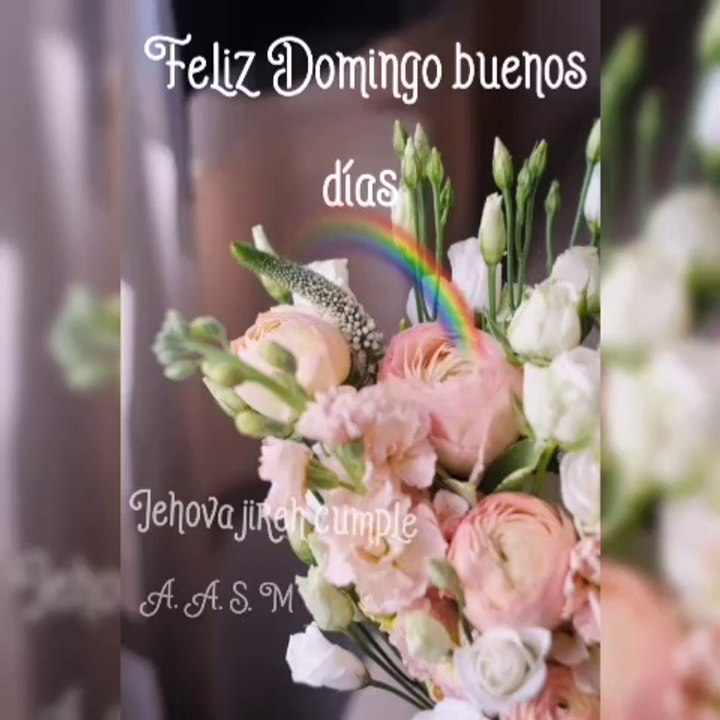 Feliz Domingo 
